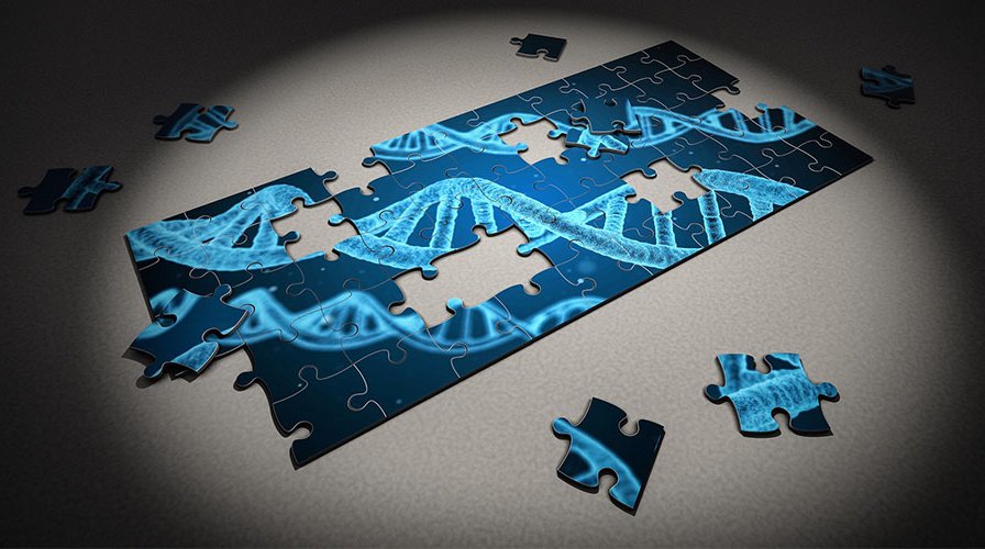 Inn2Health illustration