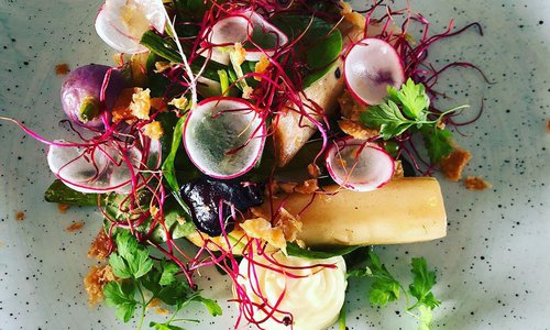 Företagslunch på Orangeriet. Ljummen vårsallad med sparris, ramslök, krispigt kycklingskinn & en majjo med Almnäs tegel